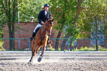 Foto op Plexiglas Young horseback sportsman on his course in showjumping competition © skumer