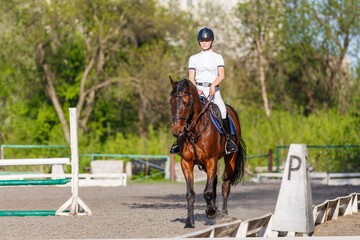 Young rider woman riding horse warming up before showjumping competition