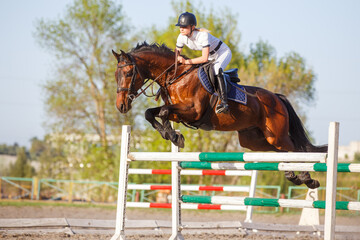 Young horseriding woman jumping over the obstacle on her showjumping course