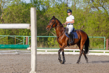 Young rider woman riding horse warming up before showjumping competition