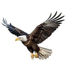 american bald eagle on a transparent background, which is easy to decorate your projects.