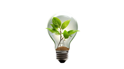 Bulb with leaves, concept of recycling and renewable energy