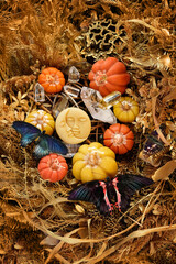 autumn background. Decorative pumpkins, butterflies, amulet of moon, crystals on dry leaves and...
