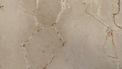 Wall