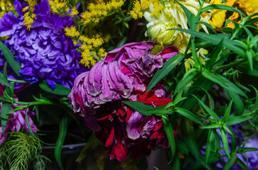 Withered bouquet of different flowers