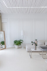 interior of a bright living room in a luxurious baroque style with white walls decorated with antique stucco