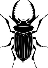 Devils Coach Horse Beetle icon 3