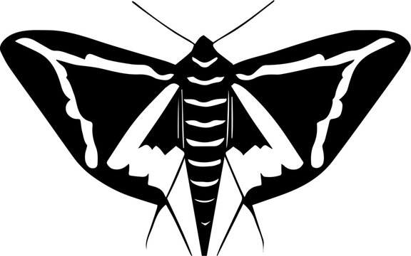 Diamondback Moth icon 3