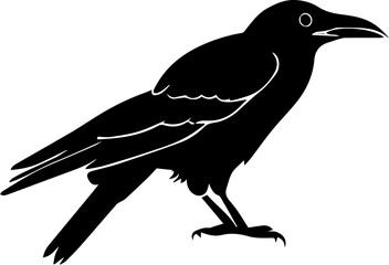 Obraz premium Crow icon 2