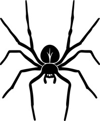 Common House Spider icon 1