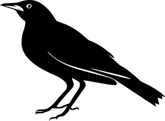 Common Grackle icon 1