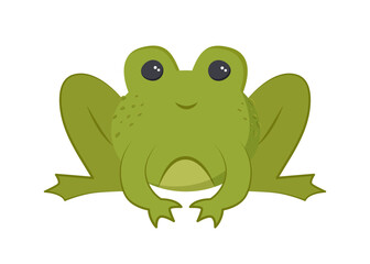 Green frog in flat style on white background.