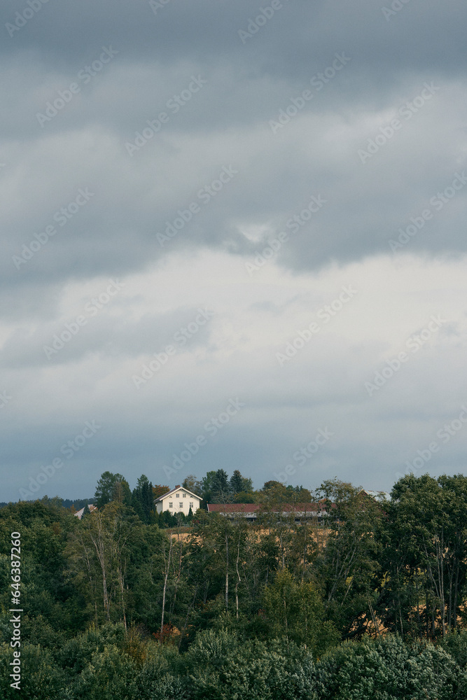 Wall mural From the rural landscape of Toten, Norway, in early fall.