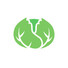 cabbage icon on a white background, vector illustration