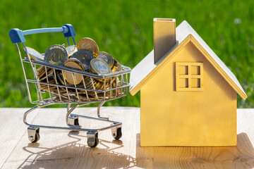 Miniature house, supermarket shopping cart and 100 and 200 KZT coins