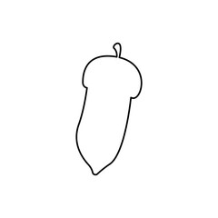 acorn icon on a white background, vector illustration