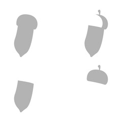 acorn icon on a white background, vector illustration