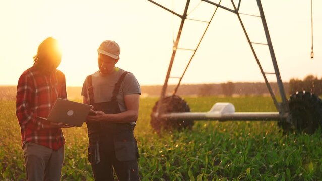 irrigation agriculture. two farmers silhouette with a laptop work in a field with corn at the back is irrigating corn sprouts. business team agriculture lifestyle irrigation concept