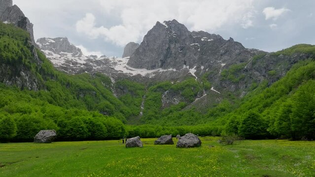 green alpine field and giant mountain with a snow on a background, drone fly low forward over the meadow. 