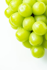 シャインマスカット