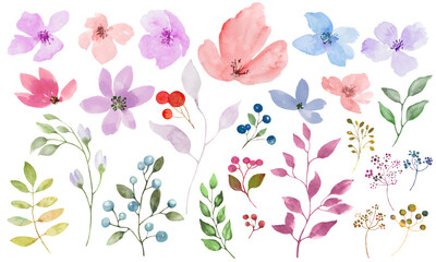 Fototapeta na wymiar Watercolor floral set. Hand drawing illustration isolated on white background. PNG.