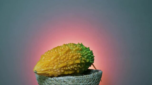 Camera Rotating Around thebitter melon flower (Momordica charantia)