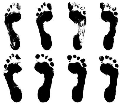 Vector concept or conceptual cute paint human foot or footprint of child isolated on white background for art, childhood, fun, happy, infant, symbol, kid, identity, education, school, little or young