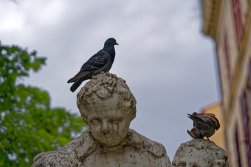 Stone sculpture at fountain at Léon Blum Square with pigeon at French City of Toulon on a cloudy late spring day. Photo taken June 9th, 2023, Toulon, France.