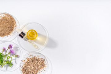 Milk Thistle supplies, powder and oil. Silybum marianum, natural organic wild flower superfood product - whole and grain seeds, pills, oil with fresh thistle flowers