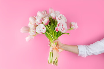Bouquet of fresh tulip flowers in hand on a pink background, present, gift.