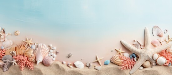 Fototapeta na wymiar Beach with fossilized shells and coral reefs isolated pastel background Copy space