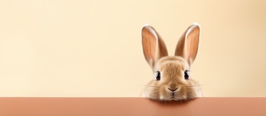 A cute rabbit with erect ears is sitting and looking at the camera on a isolated pastel background Copy space representing a pet and Easter