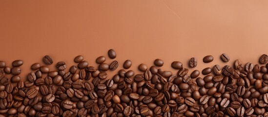 Coffee bean on a isolated pastel background Copy space