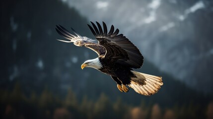 Obraz premium Majestic bald eagle soaring through the sky with grace and power