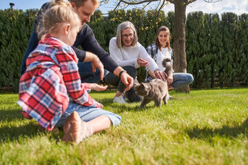 Naklejka na ściany i meble Joyful family sitting at the green grass summer lawn and playing with cute cat