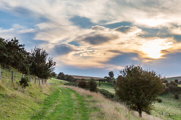 A view along a grass path in the South Downs on a September evening