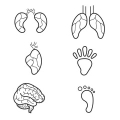 Naklejka premium simple minimalist design, bundle set of body organ icons