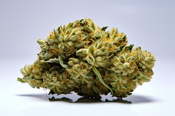 Marihuana - Cannabis - Hanf  - Blüte
