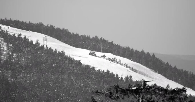 Monochrome view of avid skiers embrace the alpine splendor of Germany's Black Forest slopes, finding thrills and tranquility.