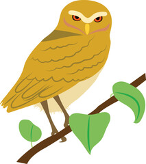 owl on branch illustration vector