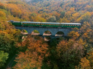 Aerial view of a railway bridge over a valley with autumn trees. Train on bridge in autumn.