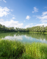 Green landscape and pond in Germany.