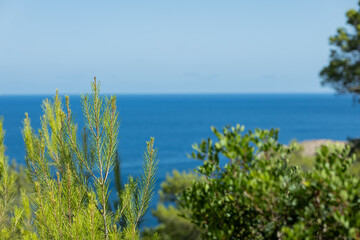 Panoramic sea landscape. Seascape .