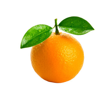 Orange fruit macro studio photo, transparent png, PNG format, cut out