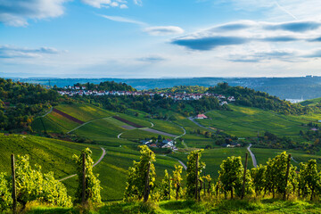 Germany, Stuttgart rotenberg grabkabelle village vineyard panorama view autumn nature landscape...