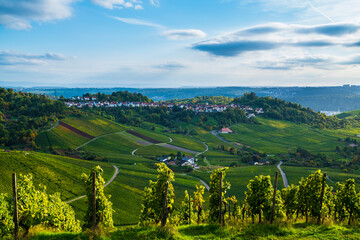 Germany, Stuttgart rotenberg grabkabelle village vineyard panorama view autumn nature landscape above