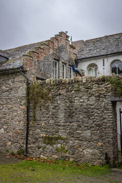 Ireland, Clonegall - August 31 2023 "Huntington Castle and Gardens in Clonegall town"