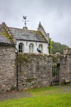 Ireland, Clonegall - August 31 2023 "Huntington Castle and Gardens in Clonegall town"