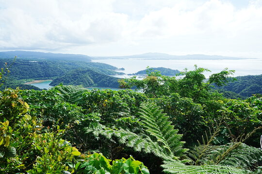 六田原展望台Images – Browse 12 Stock Photos, Vectors, and Video