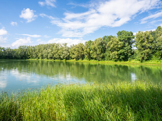 Fototapeta na wymiar Green landscape and pond in Germany.